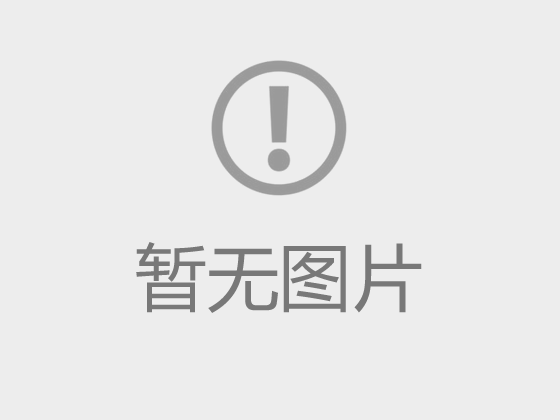 宋强
